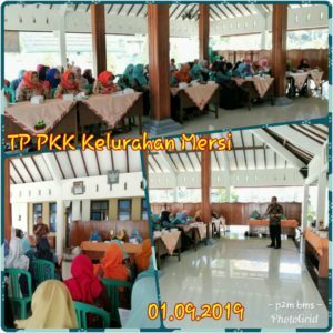 PENYULUHAN DI TIM PENGGERAK PKK KELURAHAN MERSI