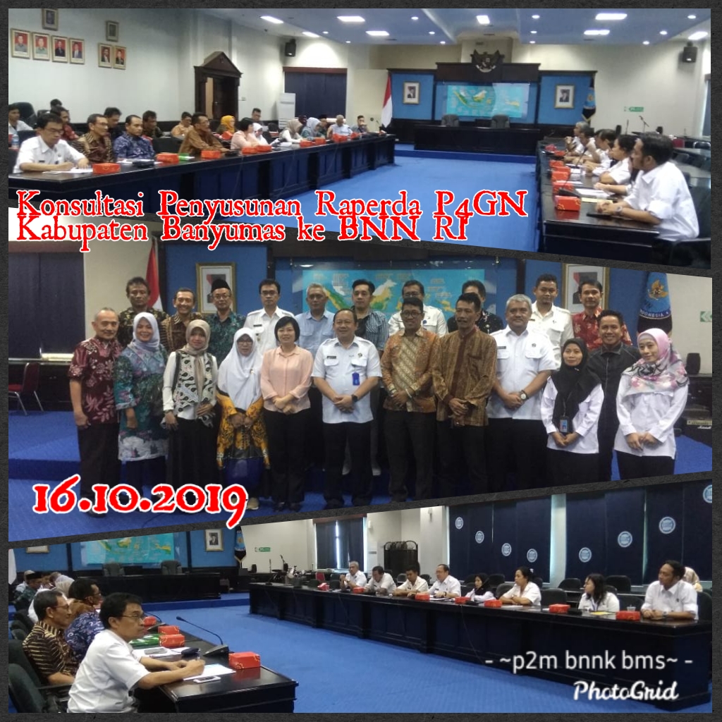KONSULTASI PENYUSUNAN RAPERDA P4GN DI BNN-RI KONSULTASI PENYUSUNAN RAPERDA P4GN DI BNN-RI